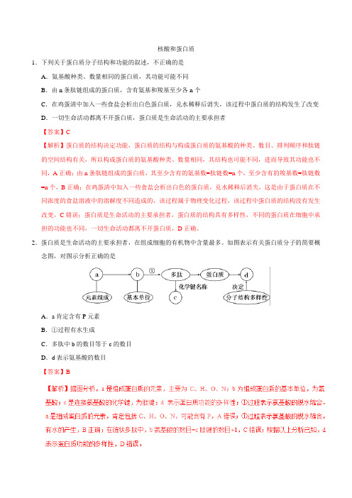 2019届高考生物二轮复习核酸和蛋白质作业(全国通用)