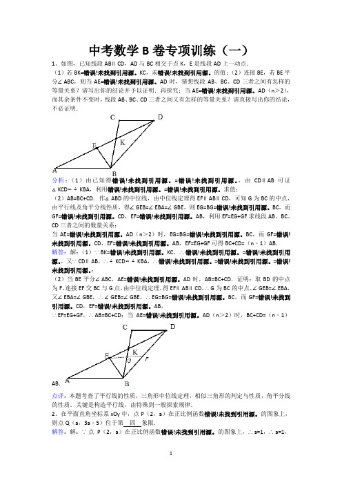 中考B卷数学专项训练(解析版)