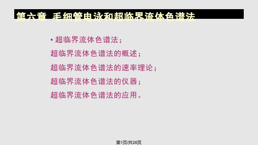 毛细管电泳和超临界流体色谱法PPT课件