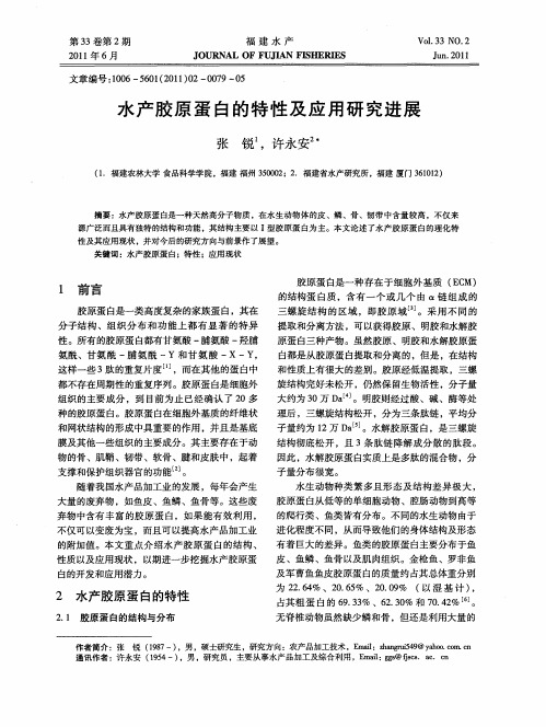 水产胶原蛋白的特性及应用研究进展