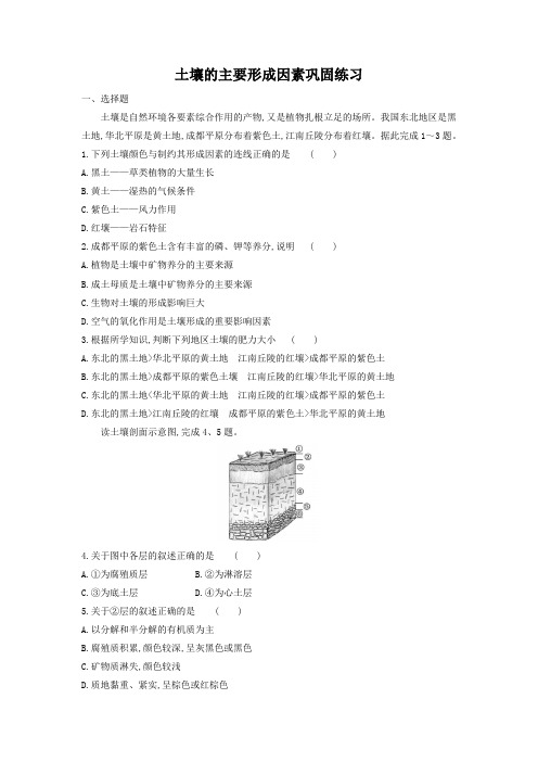 《土壤的主要形成因素》巩固练习3