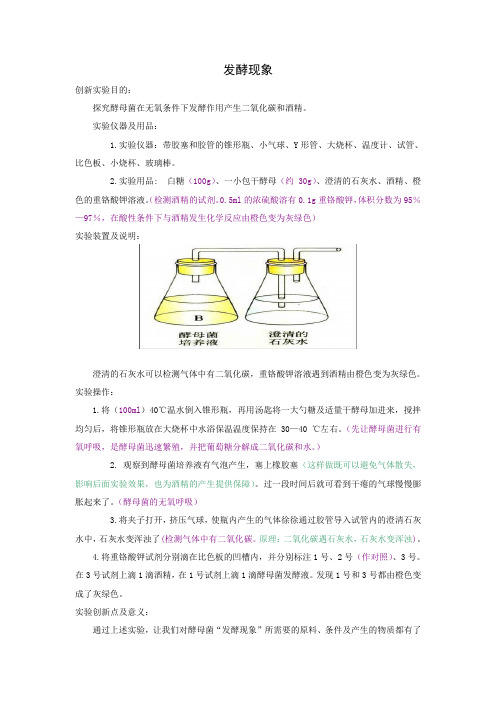 发酵现象(初中生物实验)