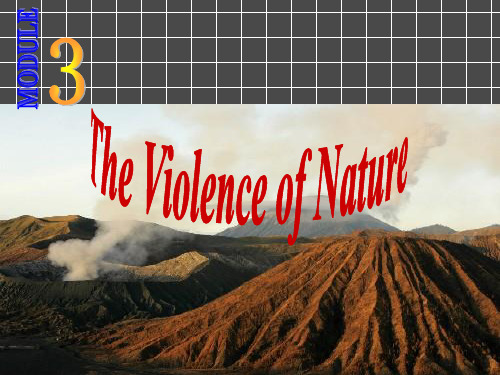 Theviolenceofnature课件