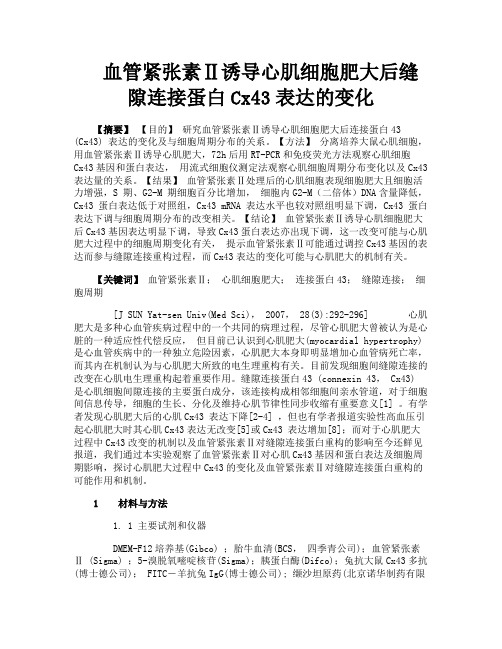 血管紧张素Ⅱ诱导心肌细胞肥大后缝隙连接蛋白Cx43表达的变化