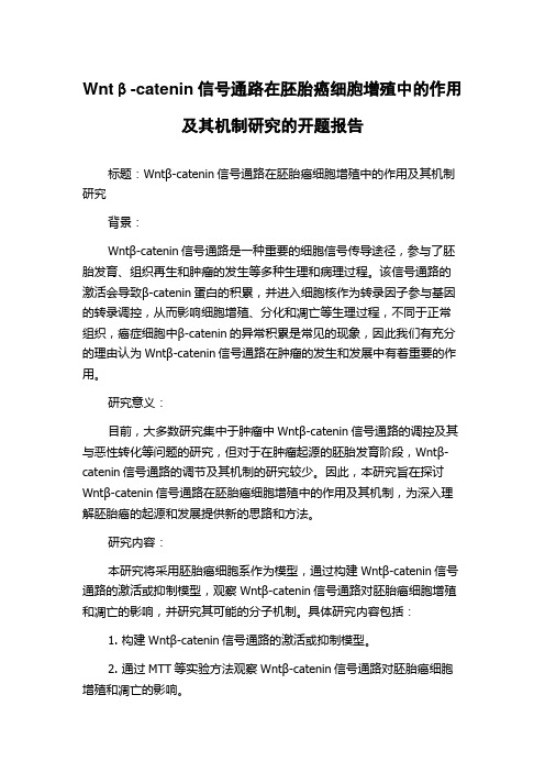 Wntβ-catenin信号通路在胚胎癌细胞增殖中的作用及其机制研究的开题报告