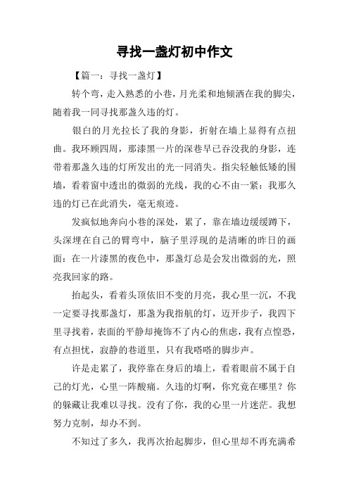 寻找一盏灯初中作文