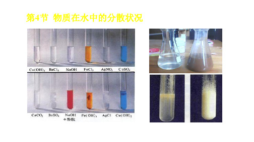 浙教版八年级上册科学课件：1.4 物质在水中的分散状况 (共21张PPT)