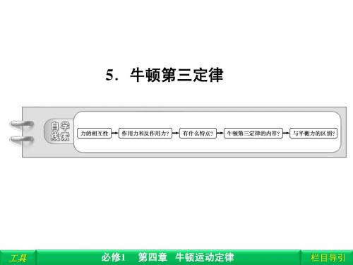 第四章 5 牛顿第三定律