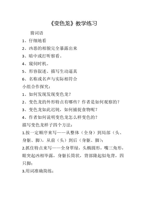变色龙作业设计
