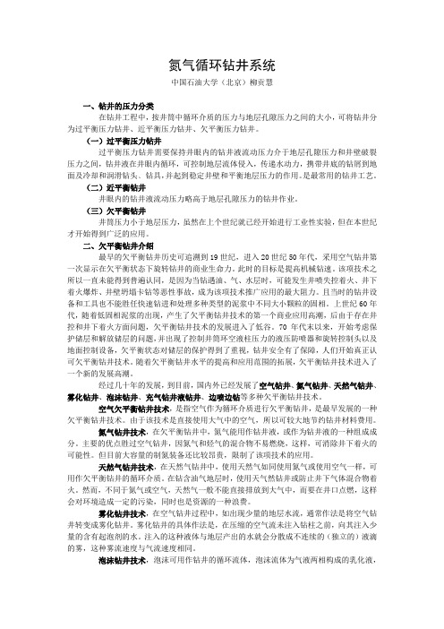 氮气循环钻井系统