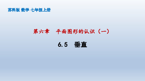 苏科版数学七年级上册垂直课件