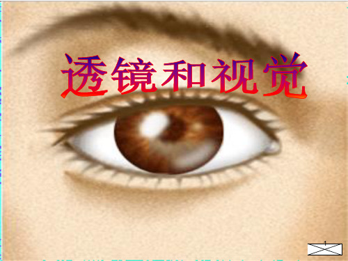 浙教版科学《透镜和视觉》ppt精品课件4