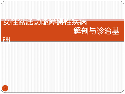 女性盆底功能障碍性疾病诊治基础PPT课件