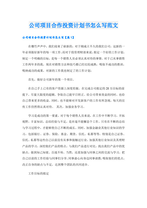 公司项目合作投资计划书怎么写范文