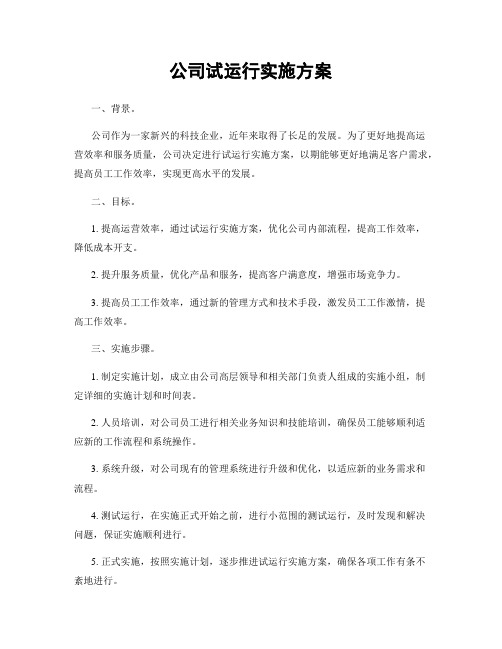 公司试运行实施方案