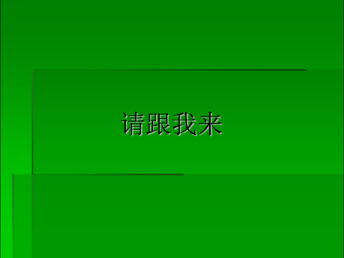 一年级上册美术精-请跟我来2-湘美版ppt课件