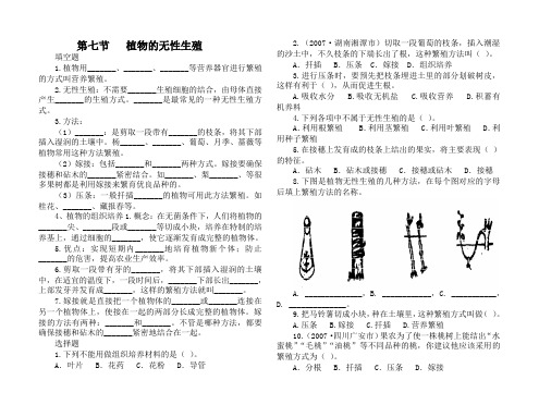 济南版八年级生物上第七节   植物的无性生殖