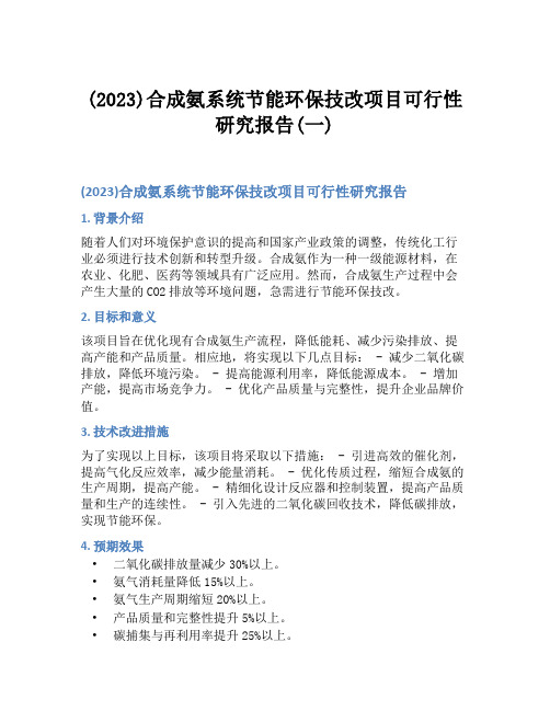 (2023)合成氨系统节能环保技改项目可行性研究报告(一)