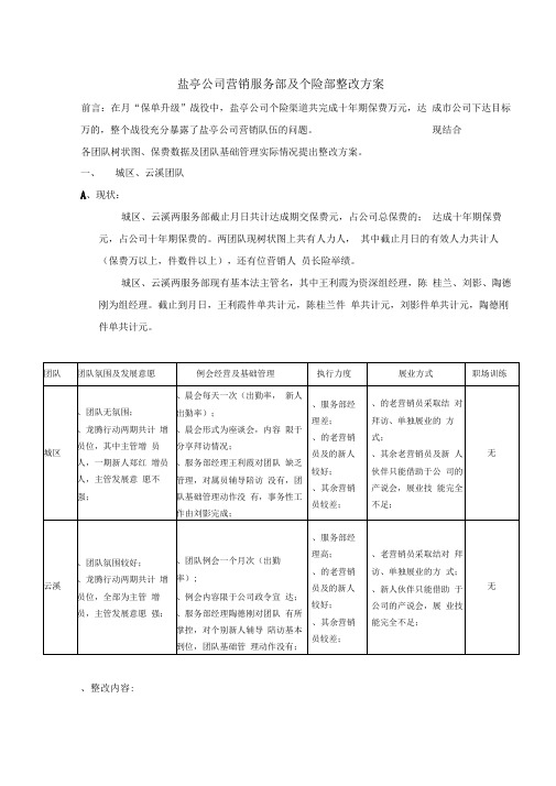 盐亭公司营销服务部及个险部整改方案