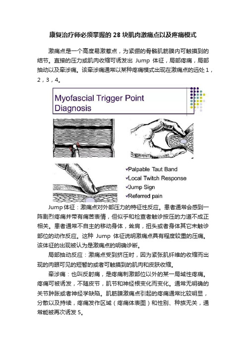 康复治疗师必须掌握的28块肌肉激痛点以及疼痛模式