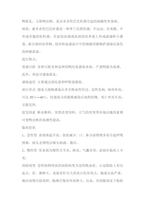 鸭霍乱