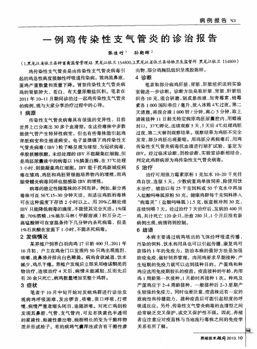 一例鸡传染性支气管炎的诊治报告