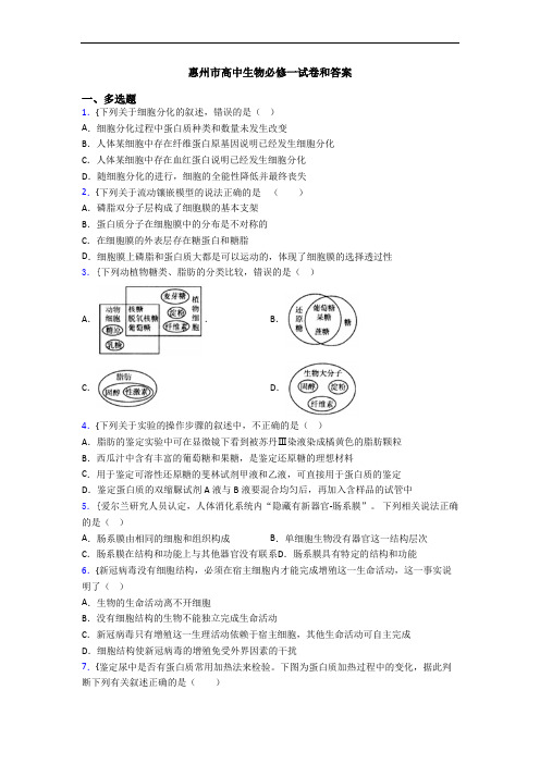 惠州市高中生物必修一试卷和答案