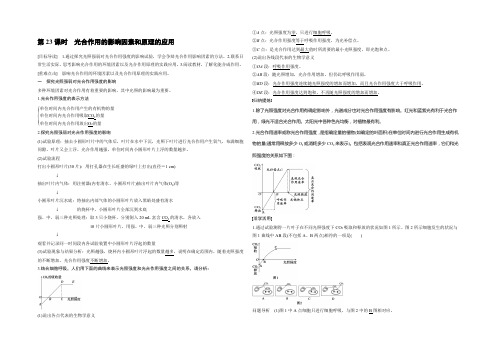 2022生物人教版必修1习题：5.4.3 光合作用的影响因素和原理的应用 