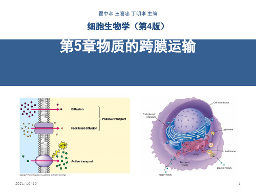 翟中和细胞生物学课件 第5章物质的跨膜运输