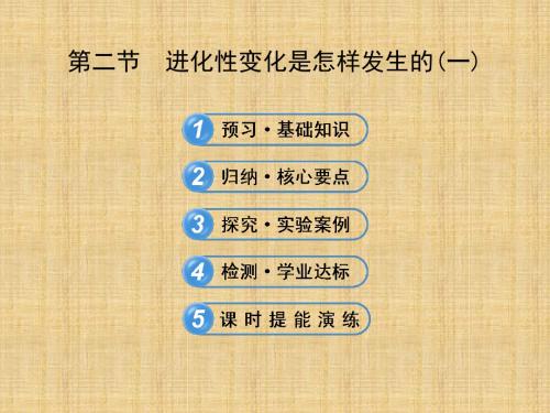 【学习方略】高中生物 5.2进化性变化是怎样发生的(一)名师优质课件 浙科版必修2