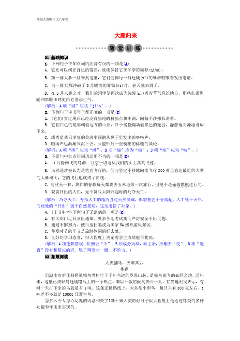 部编人教版八年级语文下册 7《大雁归来》习题(AB卷,含答案)(1)