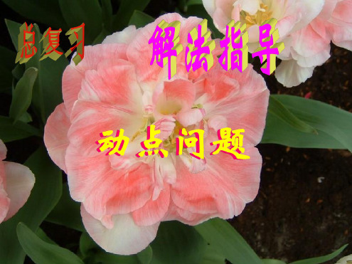 九年级数学动点问题1