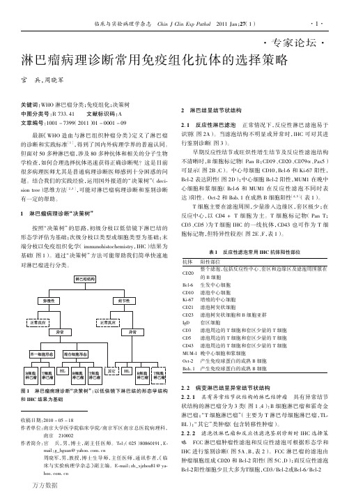 淋巴瘤病理诊断常用免疫组化抗体的选择策略