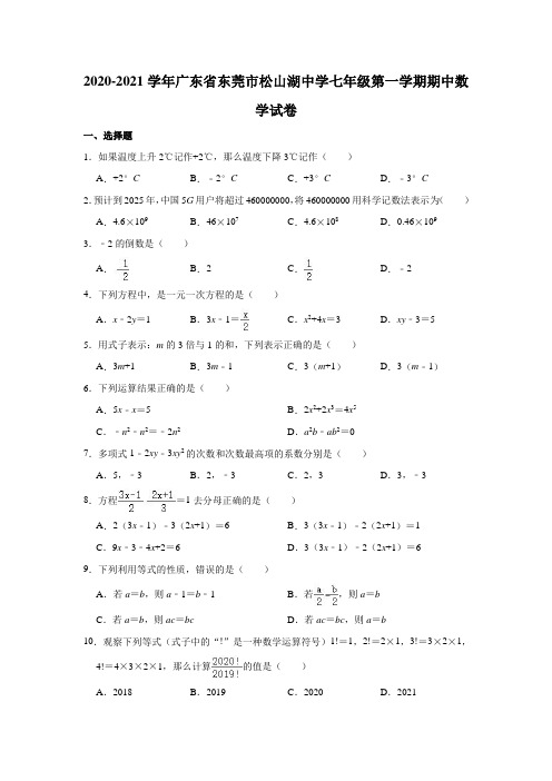 2020-2021学年广东省东莞市松山湖中学七年级(上)期中数学试卷(解析版)