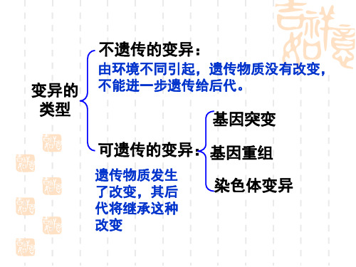 生物：5.2《染色体变异》课件