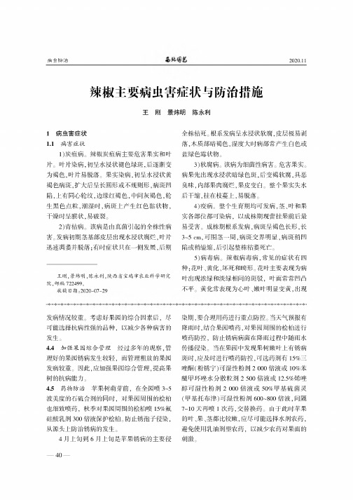 辣椒主要病虫害症状与防治措施