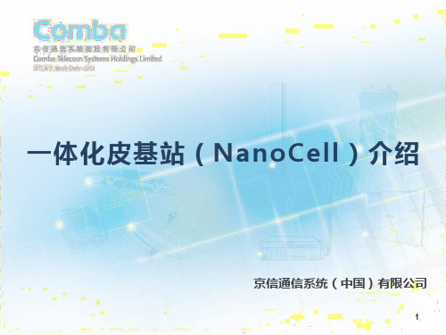 一体化皮基站(NanoCell)介绍0904