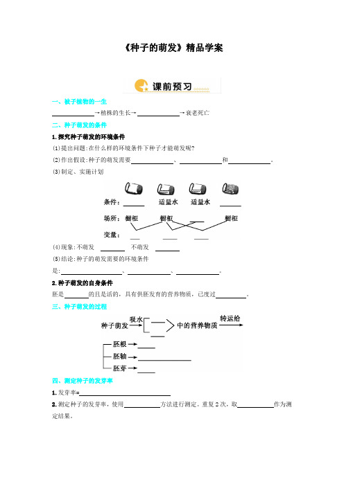 人教版七年级生物上册《种子的萌发》精品学案