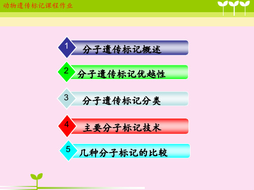 各种分子遗传标记简介