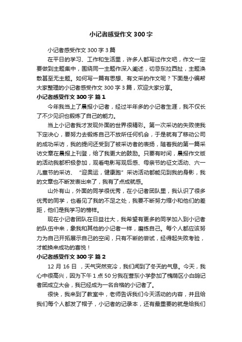 小记者感受作文300字3篇