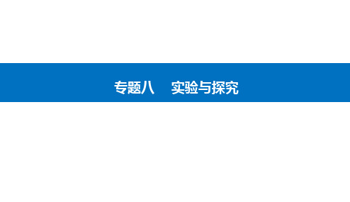 复习二轮复习高考命题热点九核酸检测抗体检测抗原检测课件(25张)