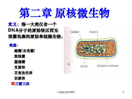 第2章 微生物学(周德庆) 原核生物ppt课件