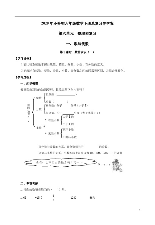 人教版2020年小升初六年级数学下册总复习第六单元【整理和复习一：数与代数】导学案