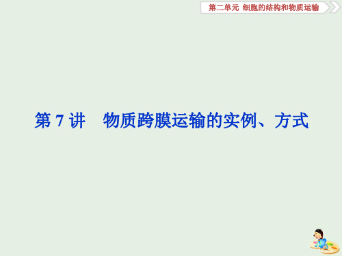 人教版高考生物大一轮复习第7讲物质跨膜运输的实例方式课件