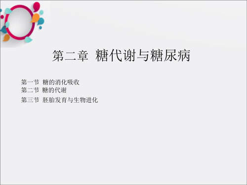 《糖代谢与糖尿病》PPT课件