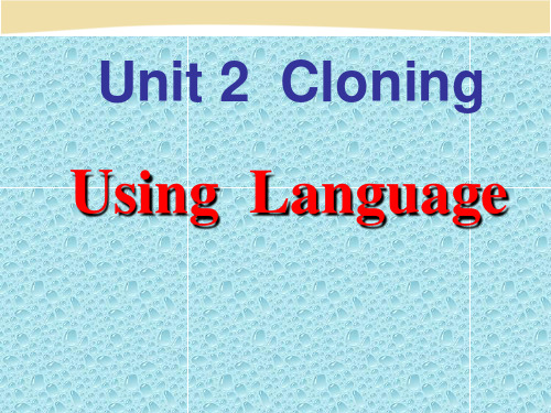 人教课标版高中英语选修8Unit 2 Using language课件  (共19张PPT)