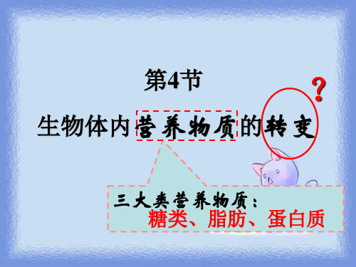 沪科版生命科学高一上4-4《生物体内营养物质的转变》教学.