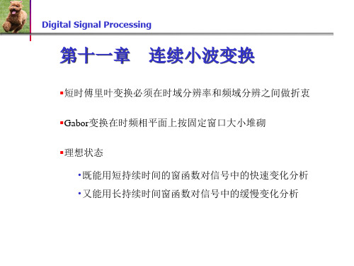 第十一章连续小波变换剖析精品PPT课件