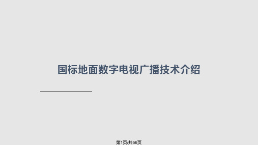 中国数字电视地面传输标准解读PPT课件