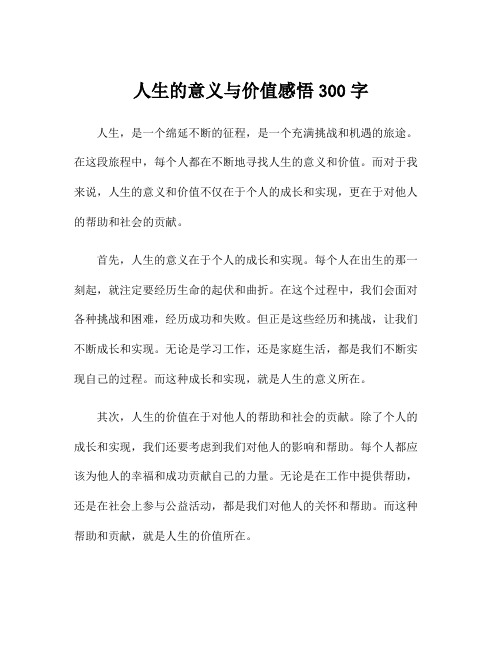 人生的意义与价值感悟300字